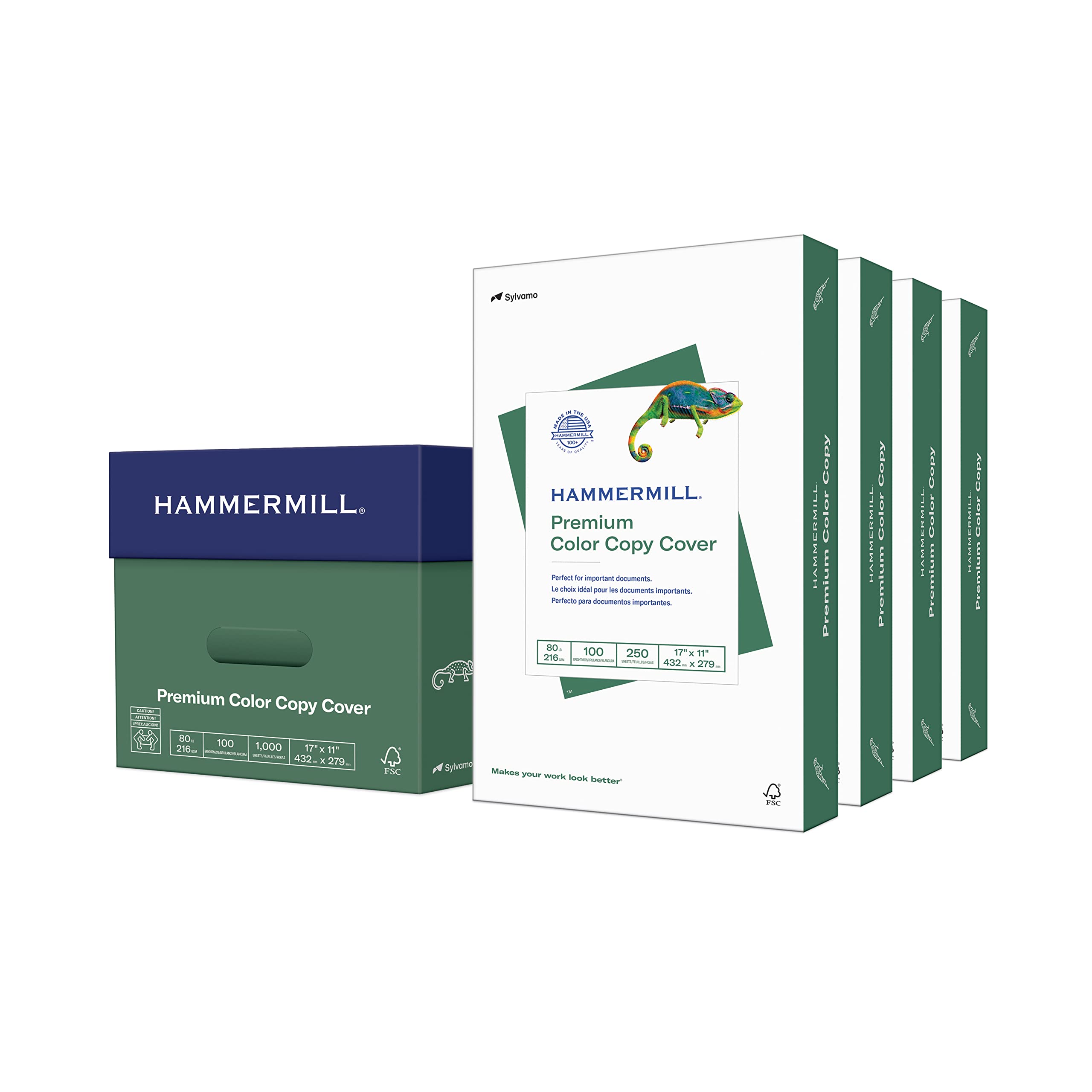 Hammermill Premium 80 lb Cardstock, 11 x 17 Inches - 4 Pack (1,000 Sheets) | 100 Bright White Card Stock for Printing, Crafts & Scrapbooking | Made in USA | 120037C