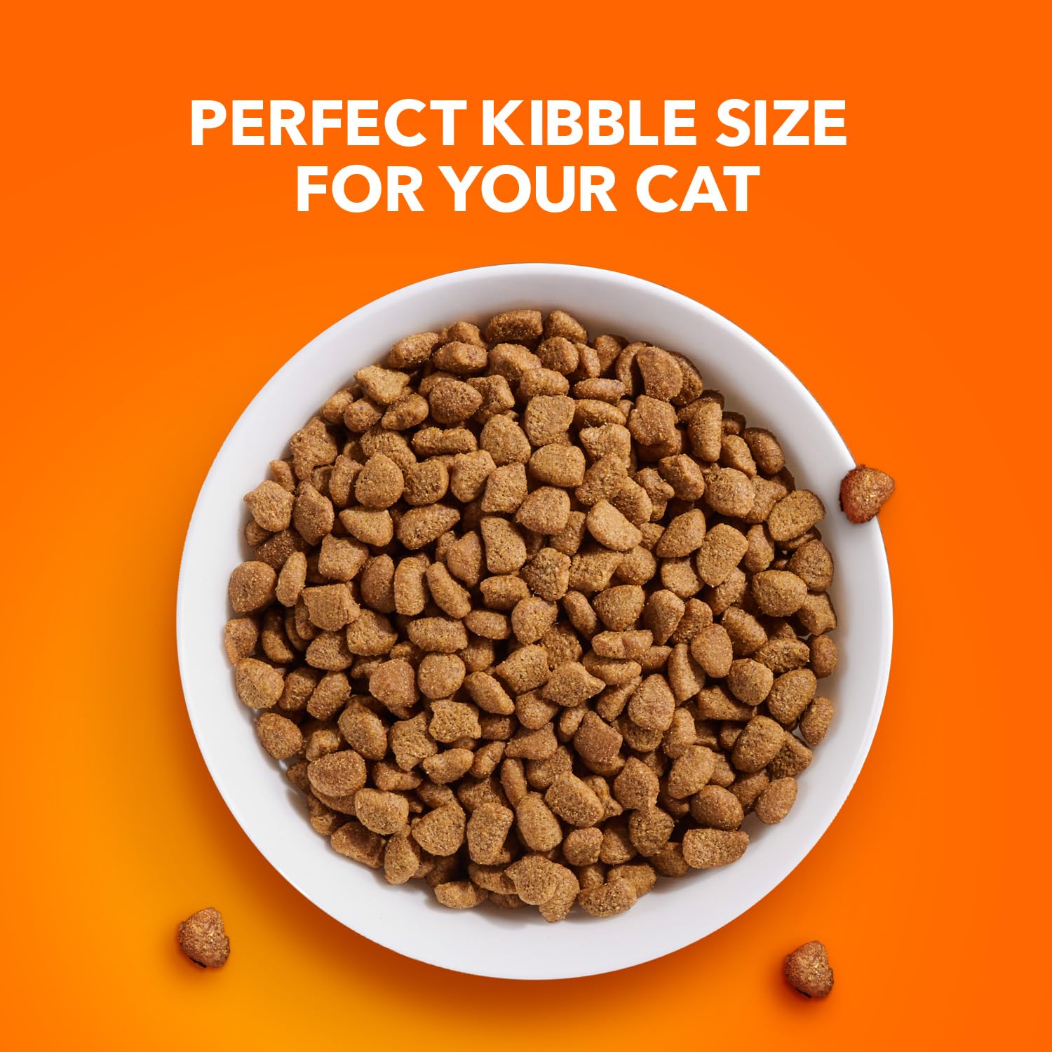 IAMS Proactive Health Healthy Adult Dry Cat Food with Chicken - 16 lb. Bag for Indoor & Outdoor Cats | High Protein Cat Kibble for Weight Maintenance & Digestive Health