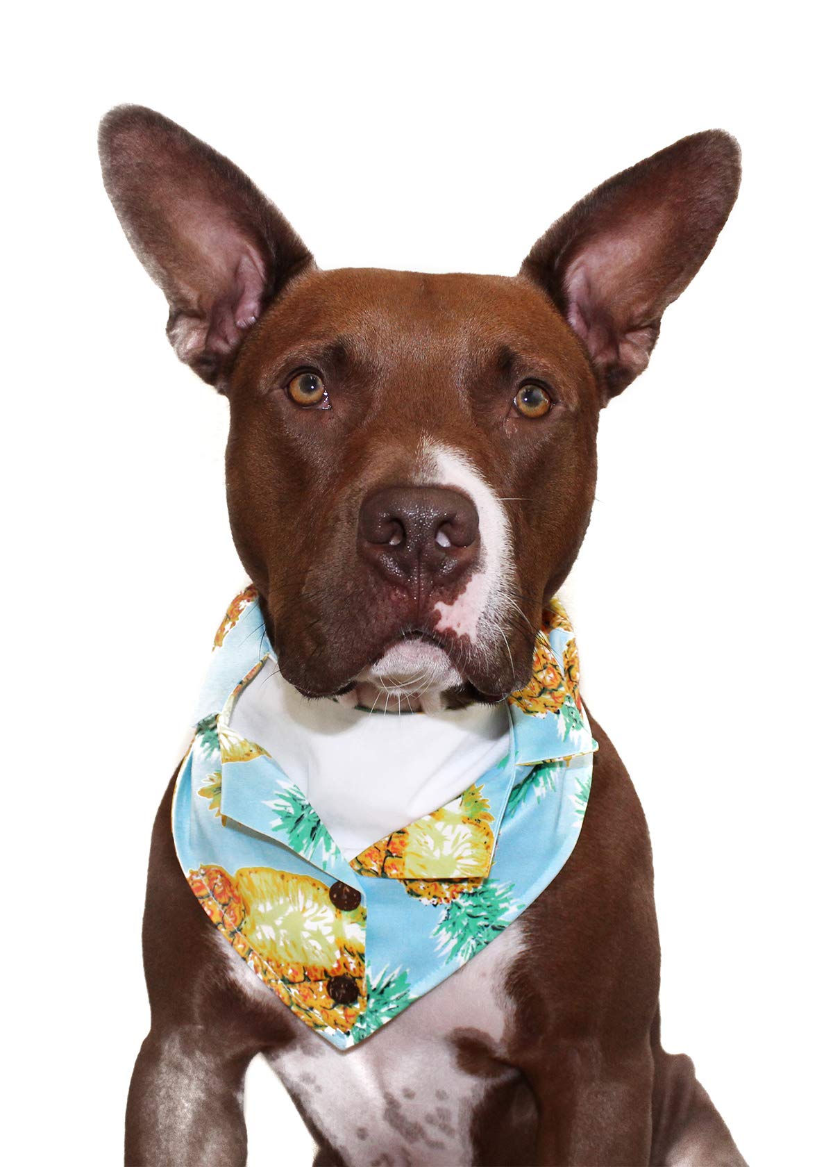 Blue Pineapple Hawaiian Dog Bandana - Formal Pet Bandana for Medium to Large Dogs - Perfect for Vacation, Beach Outings & Special Occasions