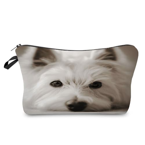 West Highland White Terrier 02