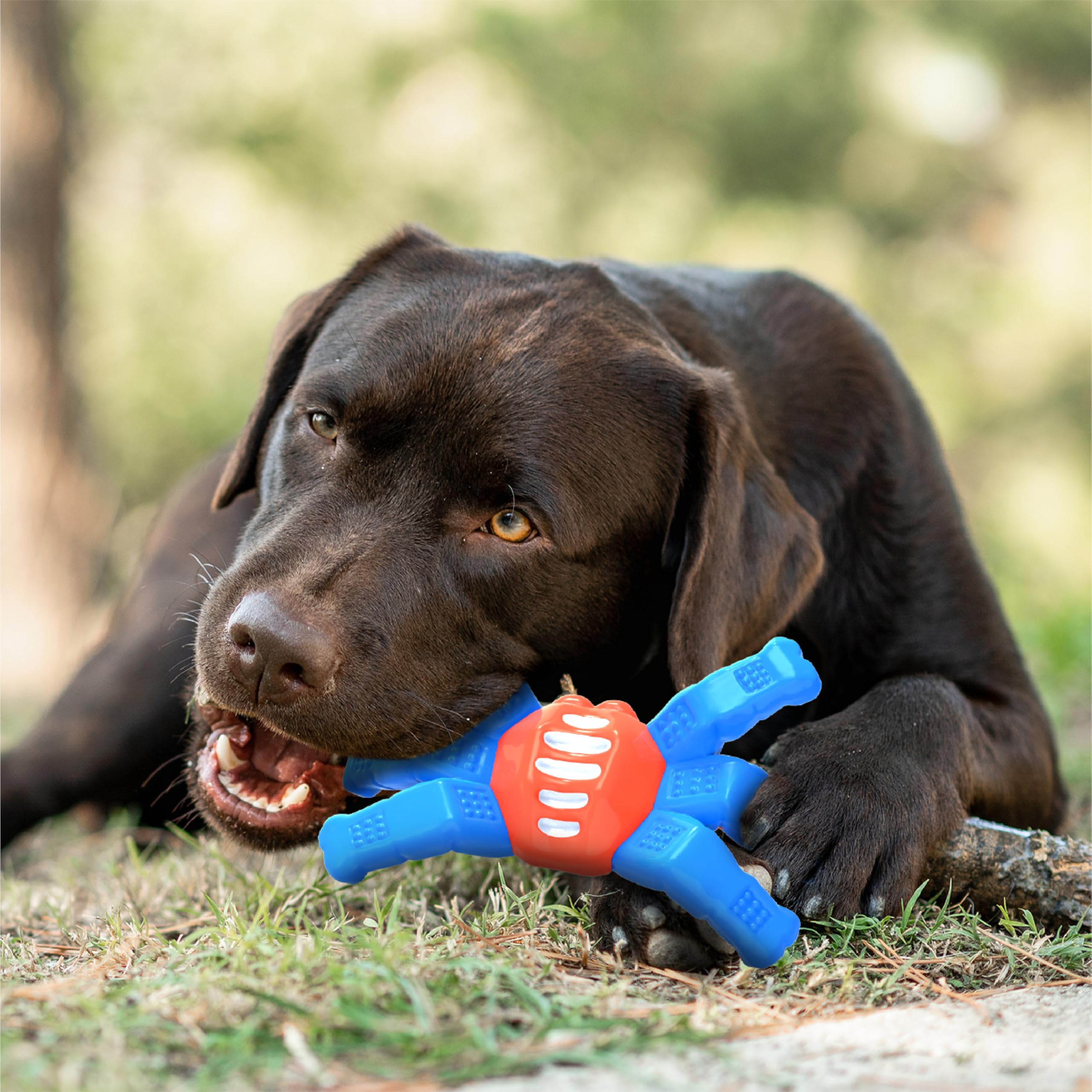 LEGEND SANDY Indestructible Dog Toys for Aggressive Chewers - Tough Nylon Chew Toys for Large & Medium Dogs - Durable Dog Bone Toy for Powerful Jaws - Heavy Duty Chewing Toy to Keep Dogs Entertained - Perfect for Playtime, Training & Anxiety Relief
