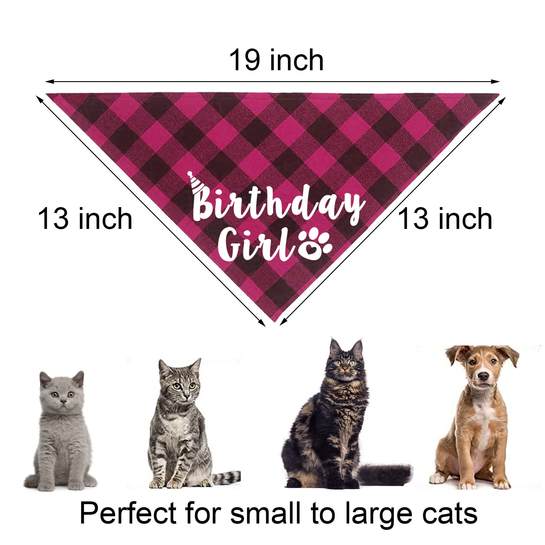 Cat Birthday Party Supplies & Outfits - Bandanas, Hat, Bow Tie for Kitten Birthday Decor (Pink) - Perfect for Pet Celebrations