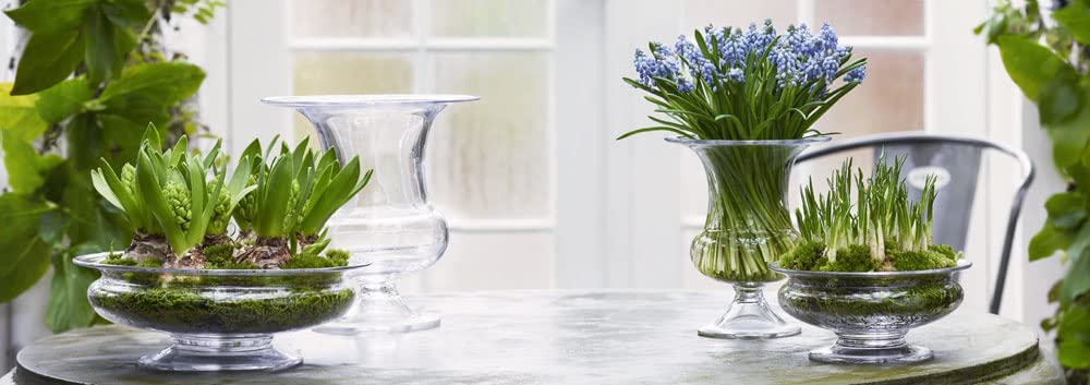 Elegant Transparent Glass Vase 17.4x17.8x20.3cm - Perfect for Home Decor, Wedding Centerpieces & Floral Arrangements