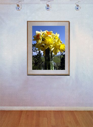 Beautiful Daffodils in Glass Vase - Fine Art Flower Photography by Michael Verlangieri - Perfect for Home Decor, Office Wall Art & Gift Ideas