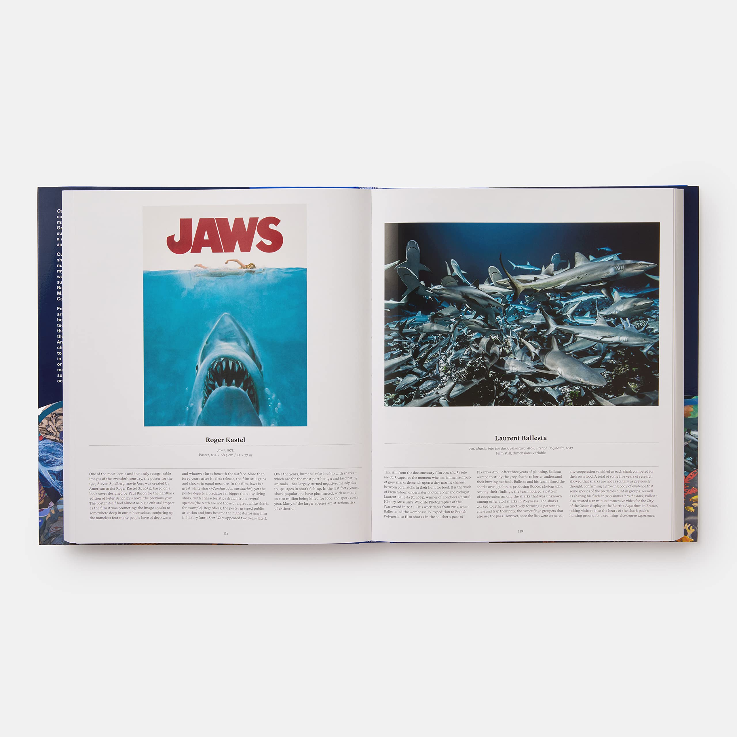 Ocean Exploration Book - Discover Marine Life & Underwater Wonders | Perfect for Kids, Students & Marine Enthusiasts