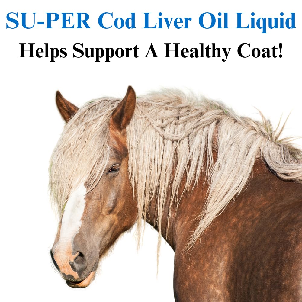 Premium Cod Liver Oil for Horses - Omega 3, Vitamin A & D Supplement for Healthy Skin & Shiny Coat - Essential Fatty Acids for Equine Health - 1 Gallon (4 Month Supply) - Ideal for Daily Nutrition & Show Horse Care