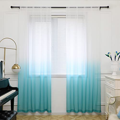 Gradient-white-blue