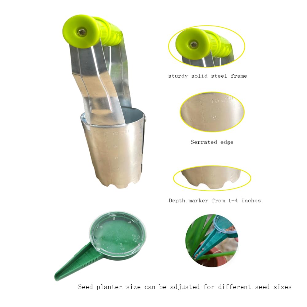 Stainless Steel Bulb Planter with Wood Handle - Perfect for Tulips & Daffodils Planting