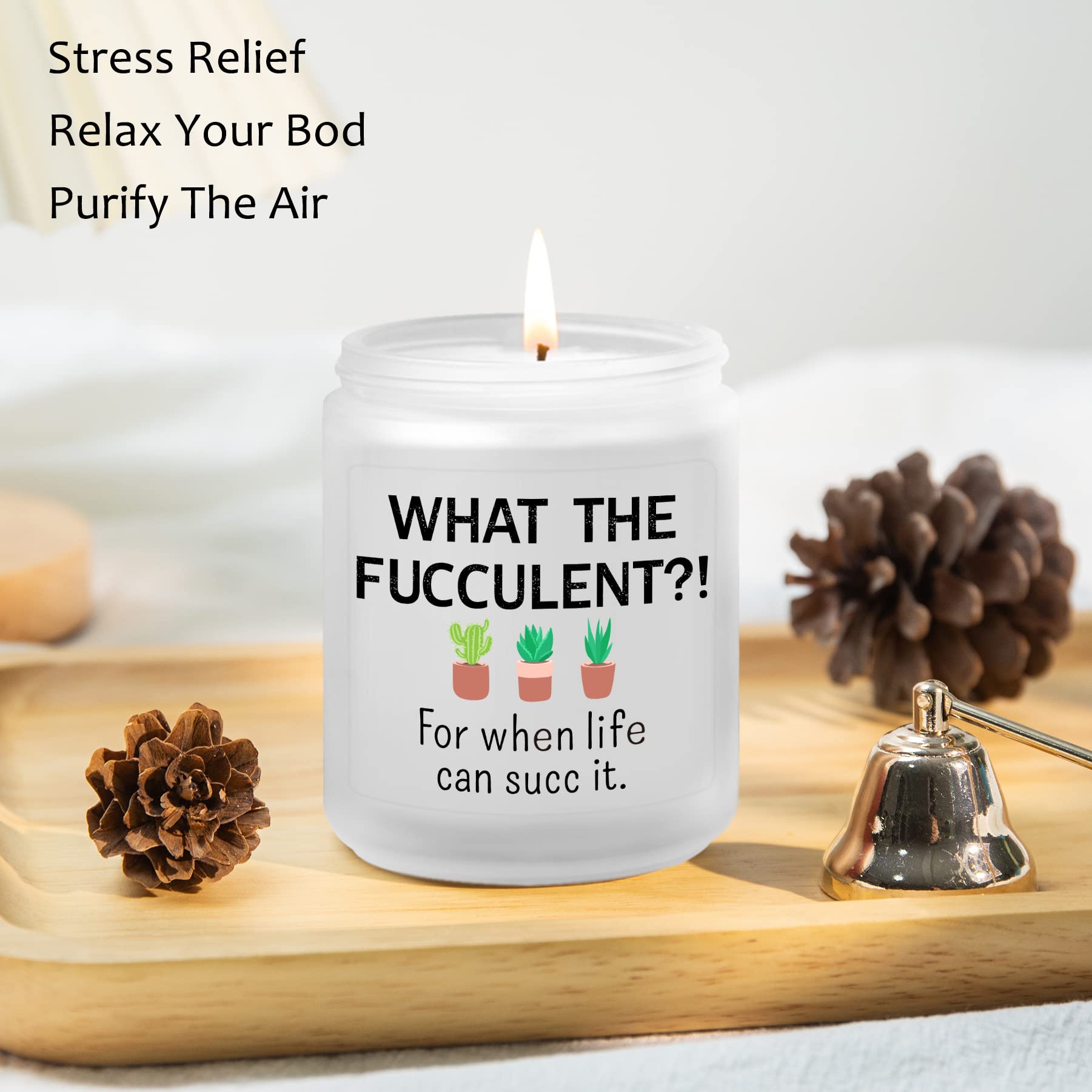 Funny & Unique Gifts for Women - Cactus Succulents & Lemongrass Sage Candles (7oz) - Perfect Birthday, Christmas, Friendship Presents for BFF, Sister, Female Coworker, or Men - Ideal for Home Decor, Relaxation, and Thoughtful Gestures