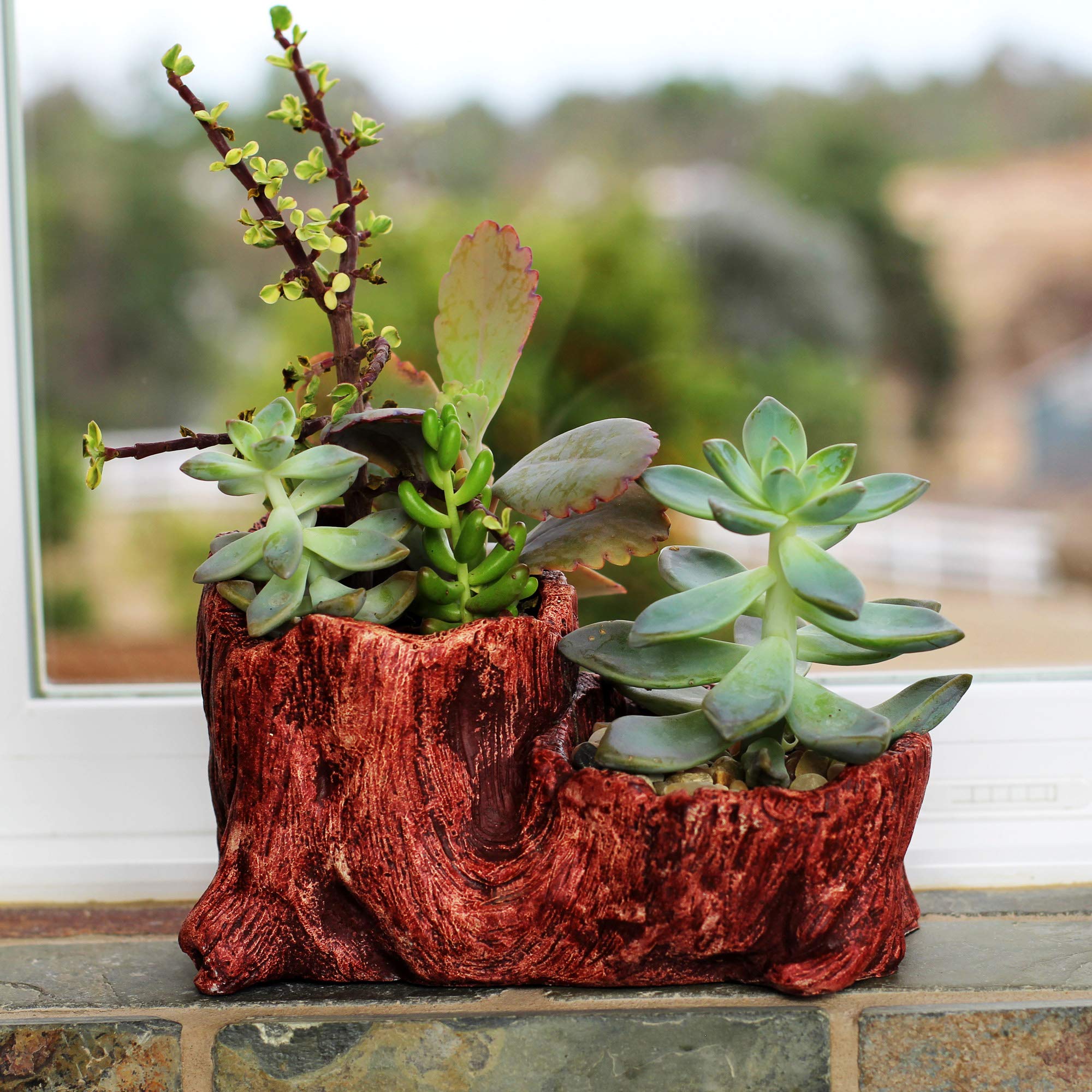 Ceramic Wood Planter Pot for Indoor Plants - Unique Log Design Succulent & Flower Pot (Redwood Boot Style) | Perfect for Home Decor, Office Desk & Small Plant Displays