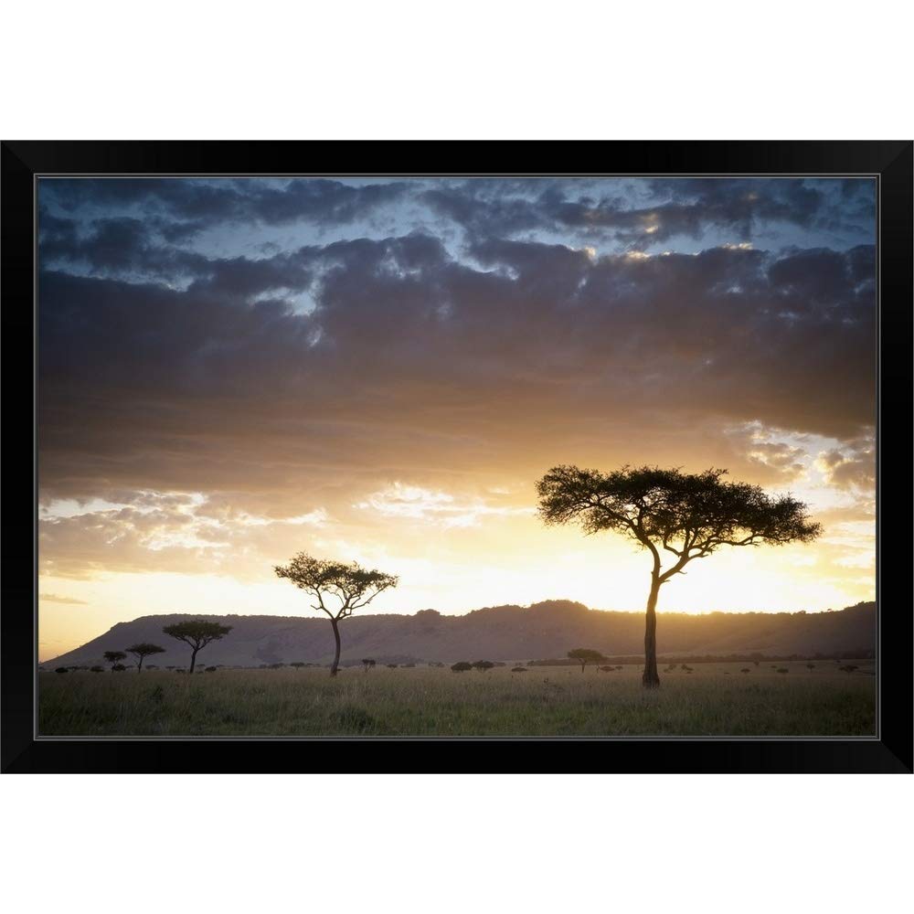 African Wildlife & Trees Black Framed Canvas Art Print - Nature Photography Wall Decor for Living Room, Bedroom & Office