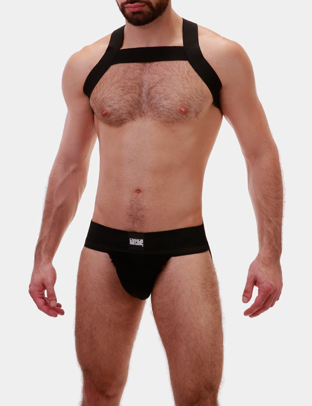 Barcode Berlin Matt Black Dog Harness - Adjustable & Reflective for Small to Medium Dogs - Perfect for Walking, Running & Outdoor Adventures