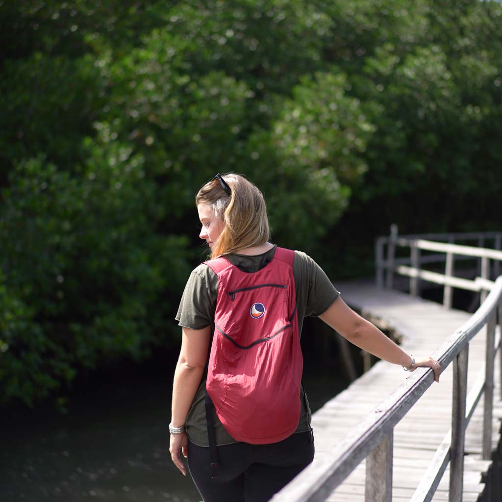 Stylish Burgundy Backpack for Men & Women - Durable Travel & School Backpack with Multiple Pockets - Perfect for Hiking, Commuting & College Campus Use