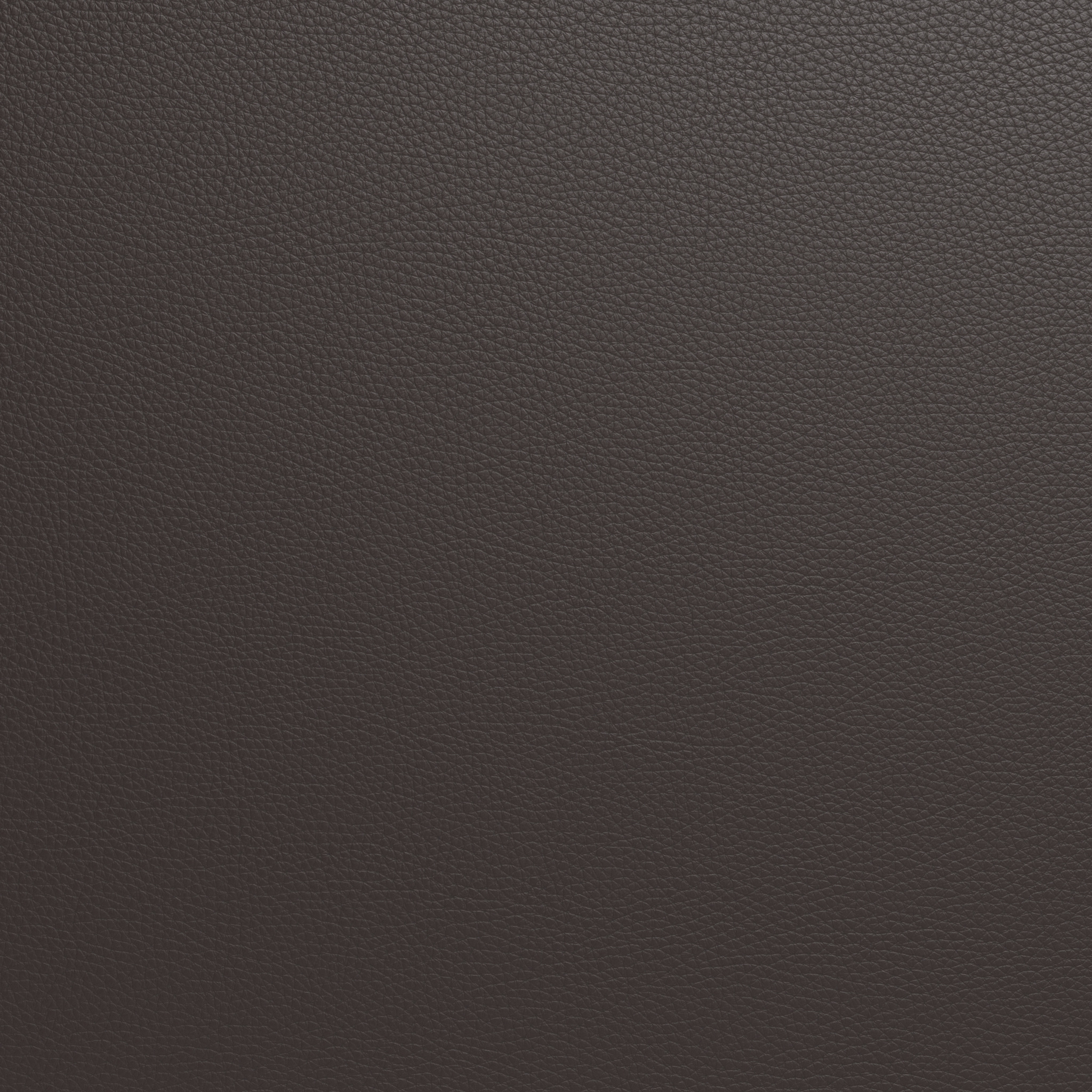 Premium Genuine Leather Raf Chair - Modern Dining & Living Room Furniture for Home & Office Use