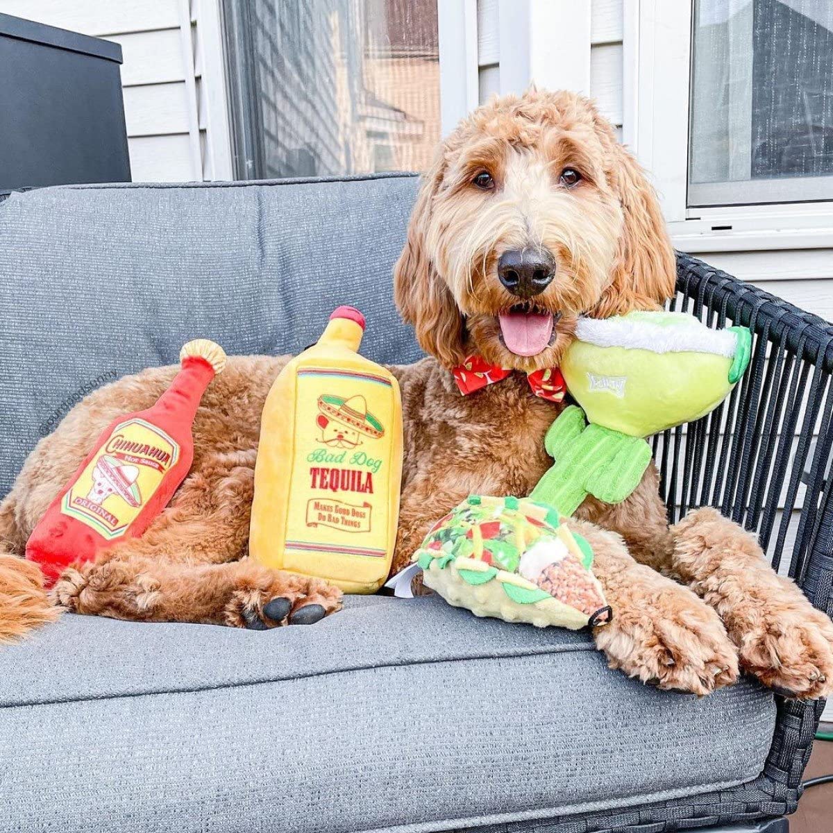 Funny Squeaky Taco Tuesday Dog Toy for Small Dogs - Durable & Safe Chew Toy with Squeaker - Perfect Gift for Pet Lovers - Great for Playtime, Training & Cuddles