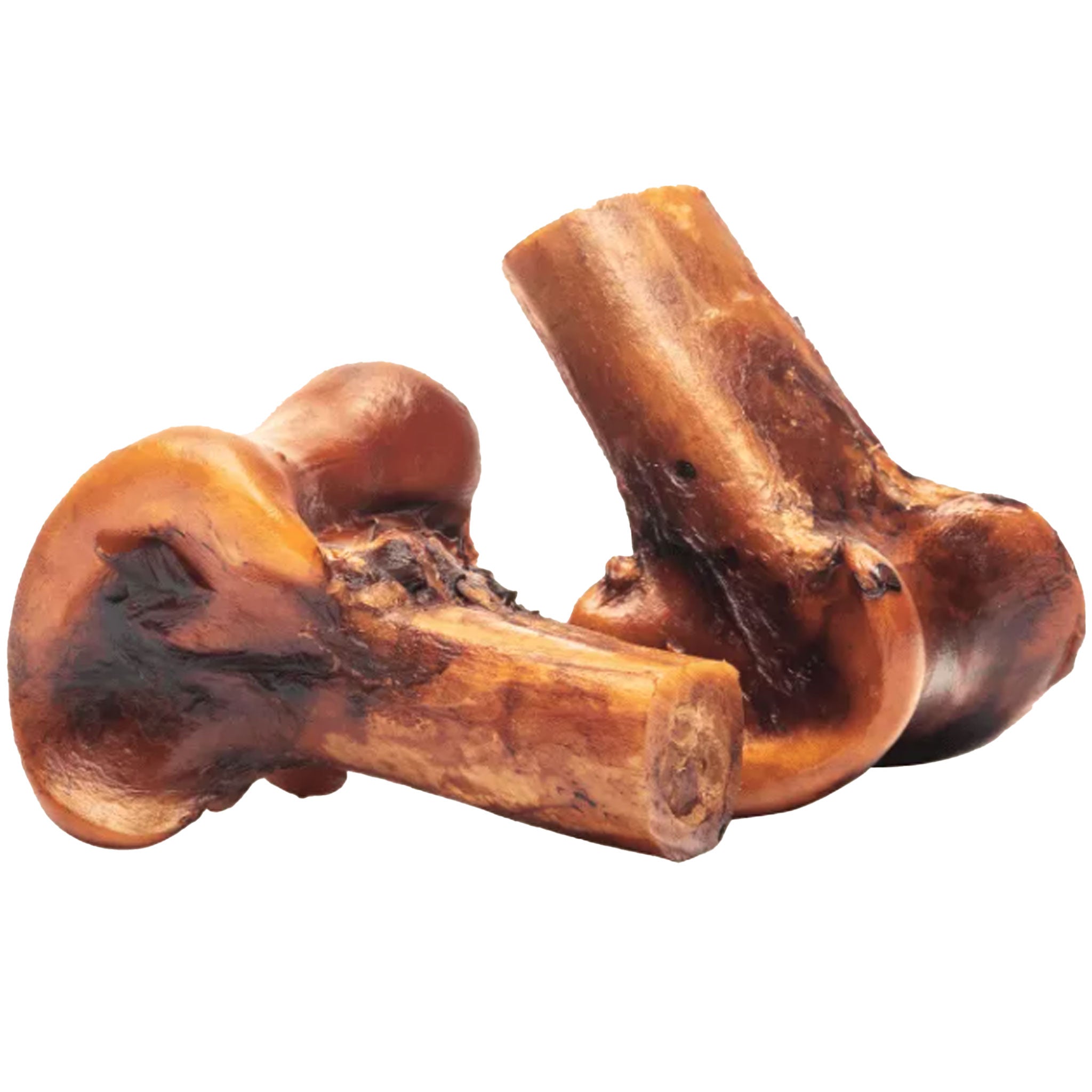 ROAM Gnaw Dog Chews - Natural Ostrich Bone Treats for Dogs - Long-Lasting Dental Chews for Aggressive Chewers - Perfect for Training, Teething & Anxiety Relief