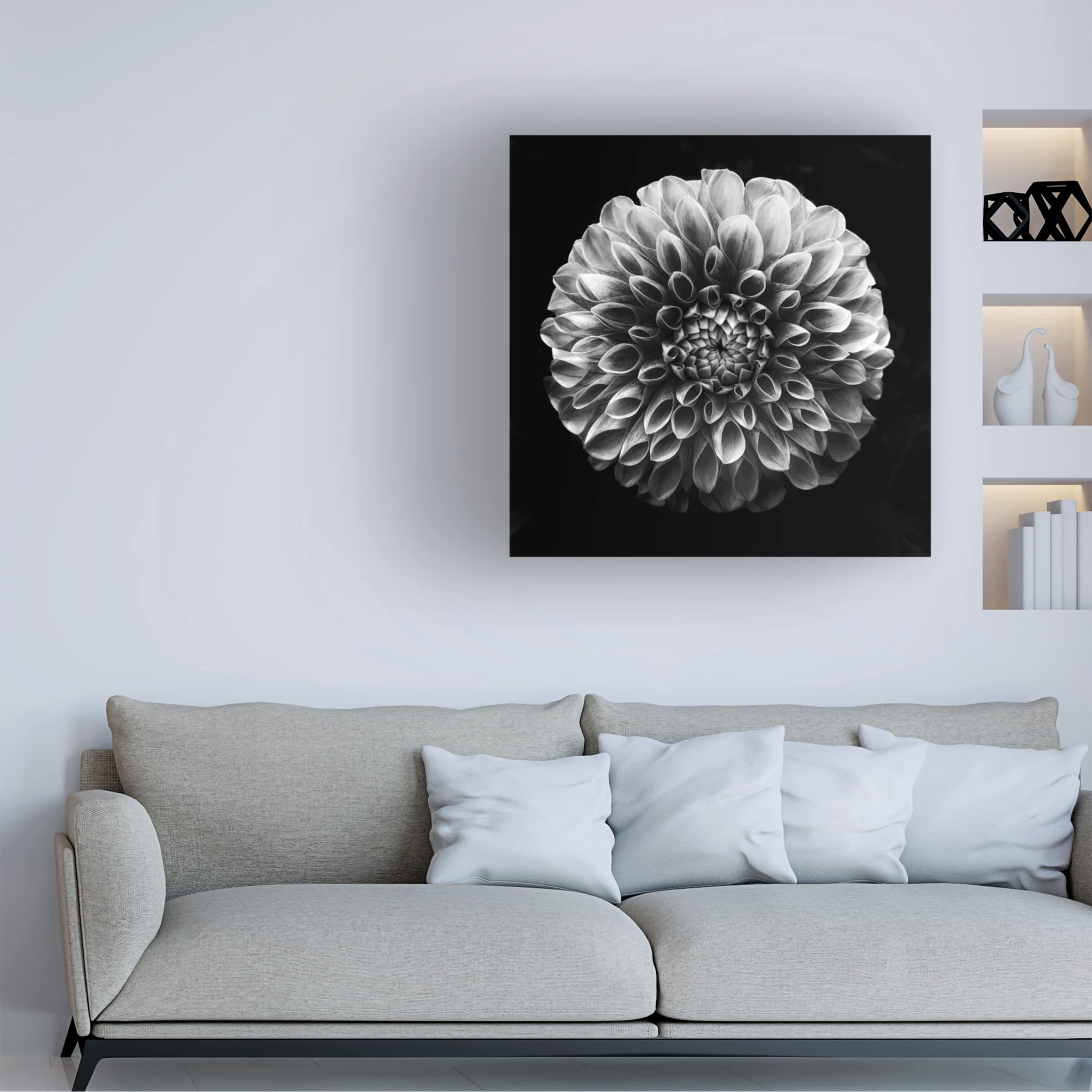 Trademark Fine Art 'Dahlia' Canvas Wall Art by Lotte Gronkjaer - Floral Home Decor for Living Room, Bedroom & Office