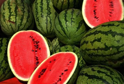 100 Crimson Sweet Watermelon Seeds (Citrullus lanatus) - Juicy, Sweet Homegrown Melons for Summer Gardens, Fresh Snacks & Fruit Salads