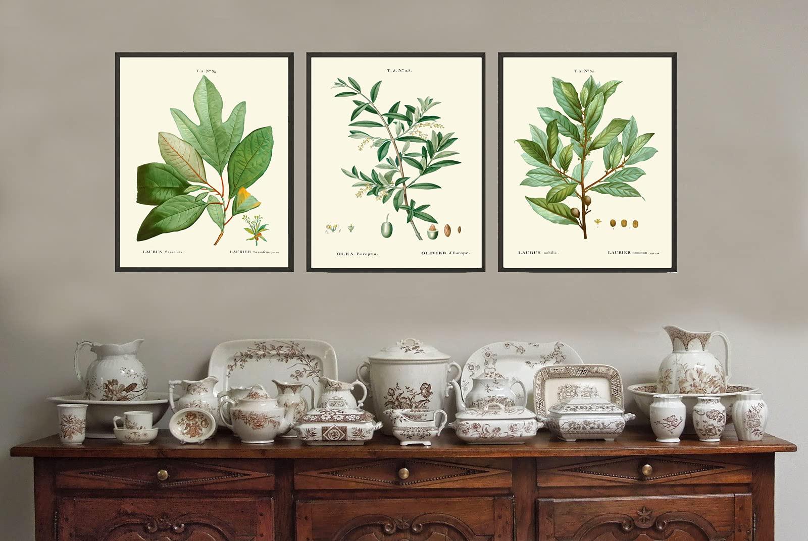 Bay Laurel Olive Herb Spice Botanical Kitchen Wall Art Print Set of 3 - Mediterranean Seasoning Cooking Decor - Unframed 16x20 Inches - Perfect for Home Kitchen, Dining Room & Farmhouse Decor