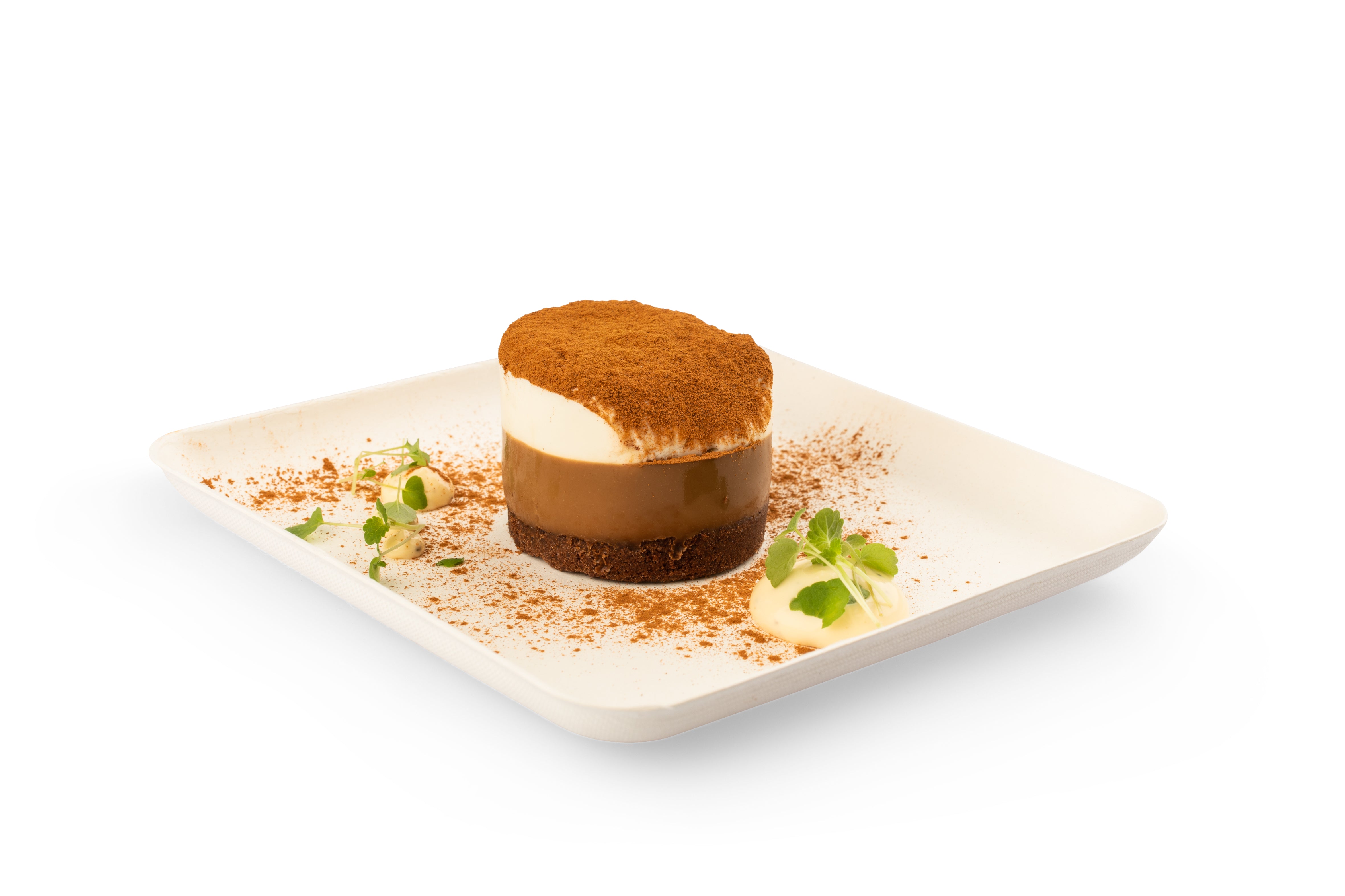 Bagastro Square Plate - Elegant and Durable Dinnerware Set for Home, Restaurant, and Party Use - Perfect for Serving Appetizers, Desserts, and Meals