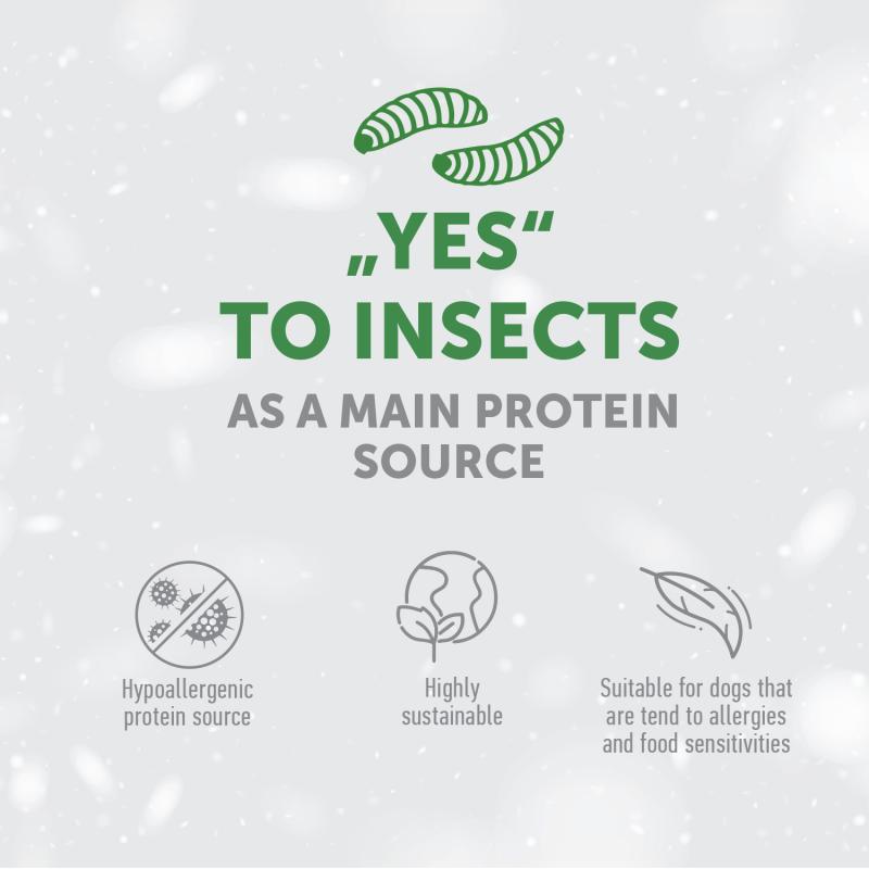 Premium High-Protein Dog Treats with Insects & Rice - Supports Endurance & Muscle Health for Active Adult Dogs - Perfect for Training, Hiking & Outdoor Adventures