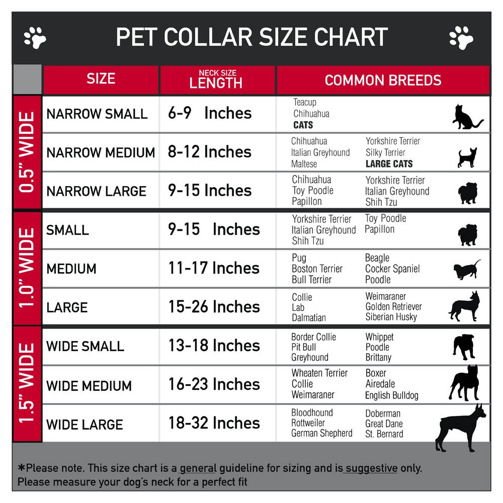 Buckle-Down Martingale Dog Collar with Alice in Wonderland Queen of Hearts Design - 1 Inch Wide Adjustable Nylon Pet Collar for Medium to Large Dogs (15-26