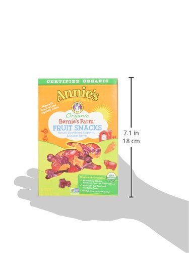 Annie's Homegrown Organic Bernie's Farm Fruit Snacks - 60 Count (0.8oz Pouches) | Healthy Kids Snacks, Lunchbox Treats & On-the-Go Snacking