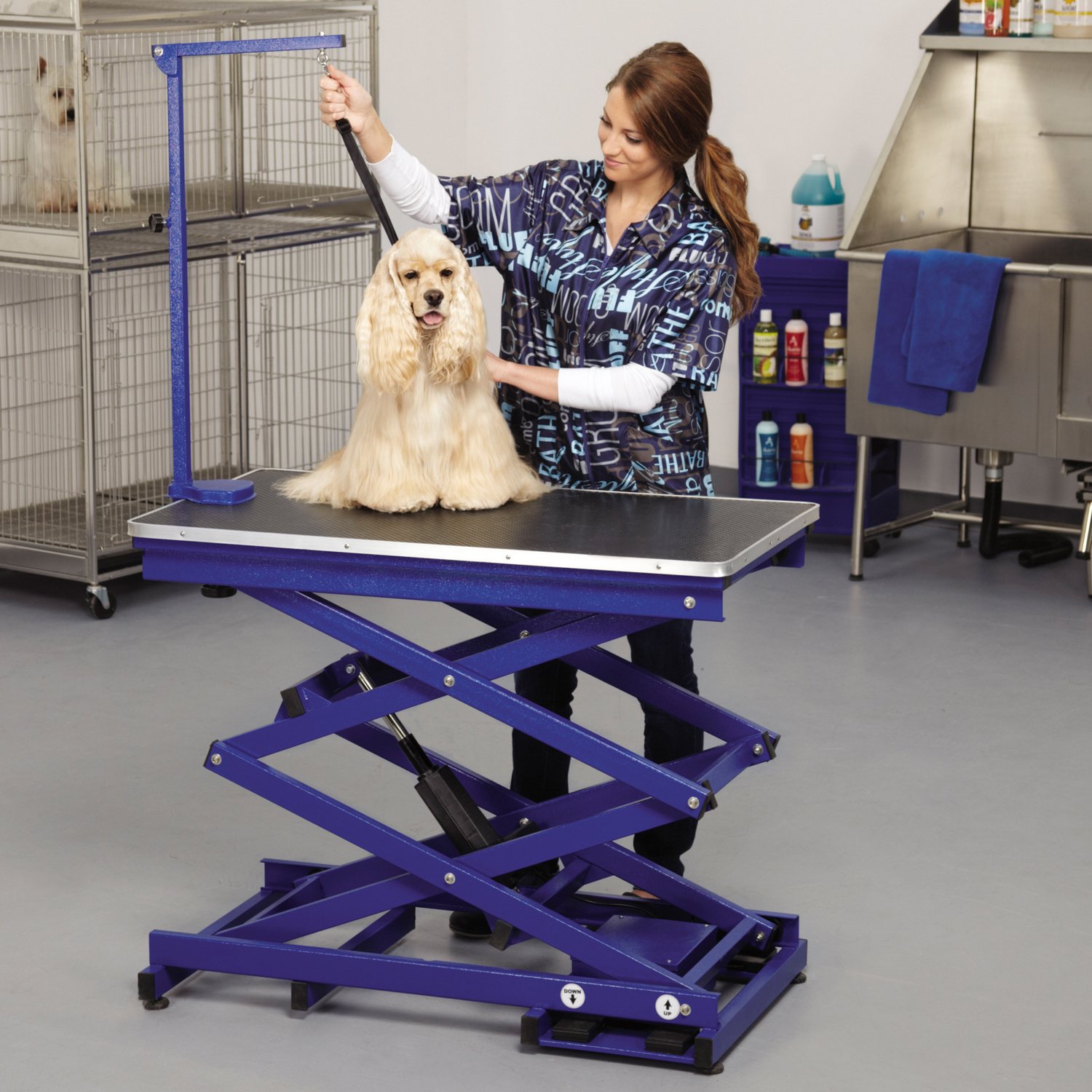 Master Equipment Xtend Electric Grooming Table for Dogs & Cats - Adjustable Height Blue Pet Grooming Station for Professional & Home Use