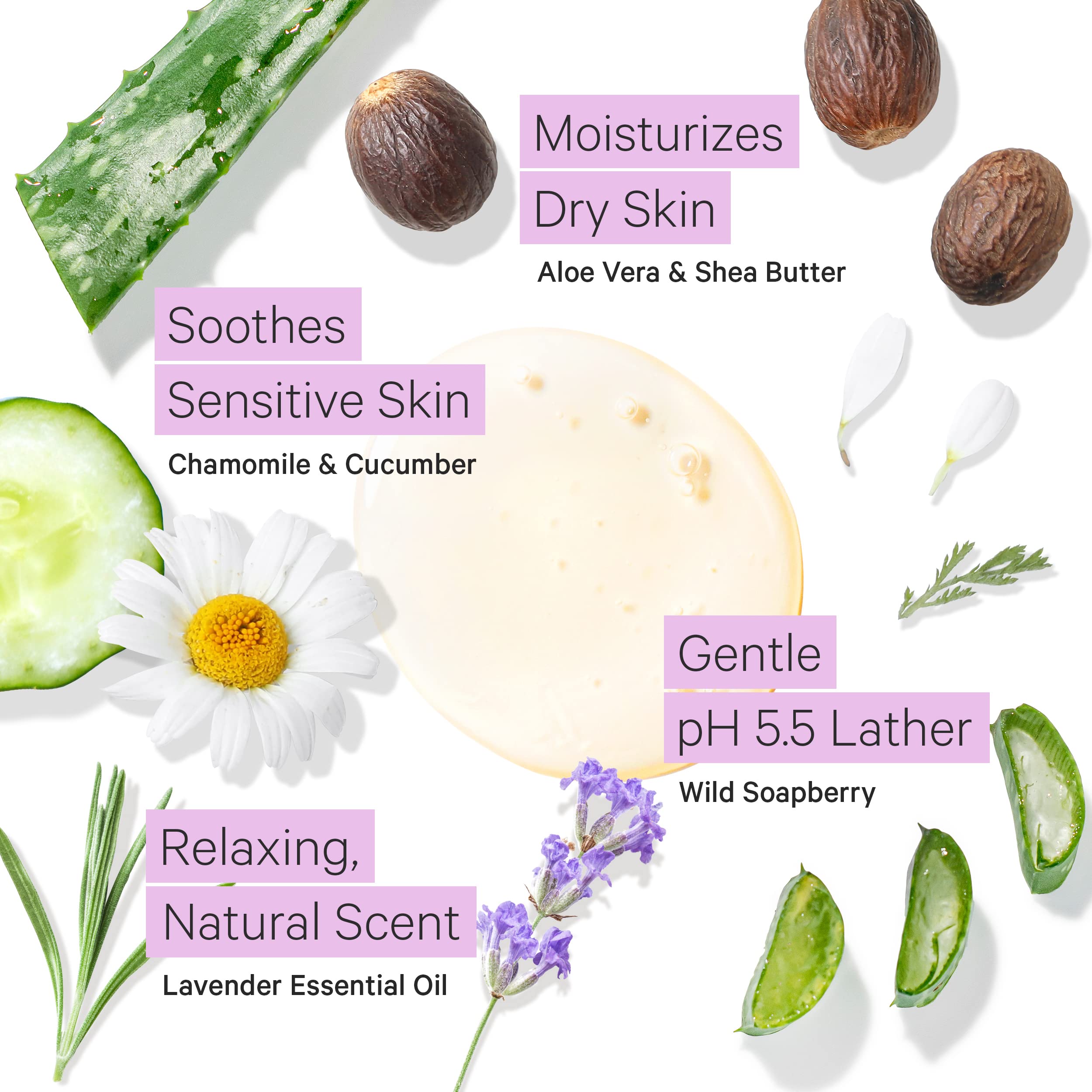 Gentle Moisturizing Body Wash for Dry & Sensitive Skin - pH 5.5 Balanced Lavender Soap with Organic Wild Soapberries (8.5 oz) by Tree To Tub | Perfect for Daily Shower, Bath Time & Relaxation