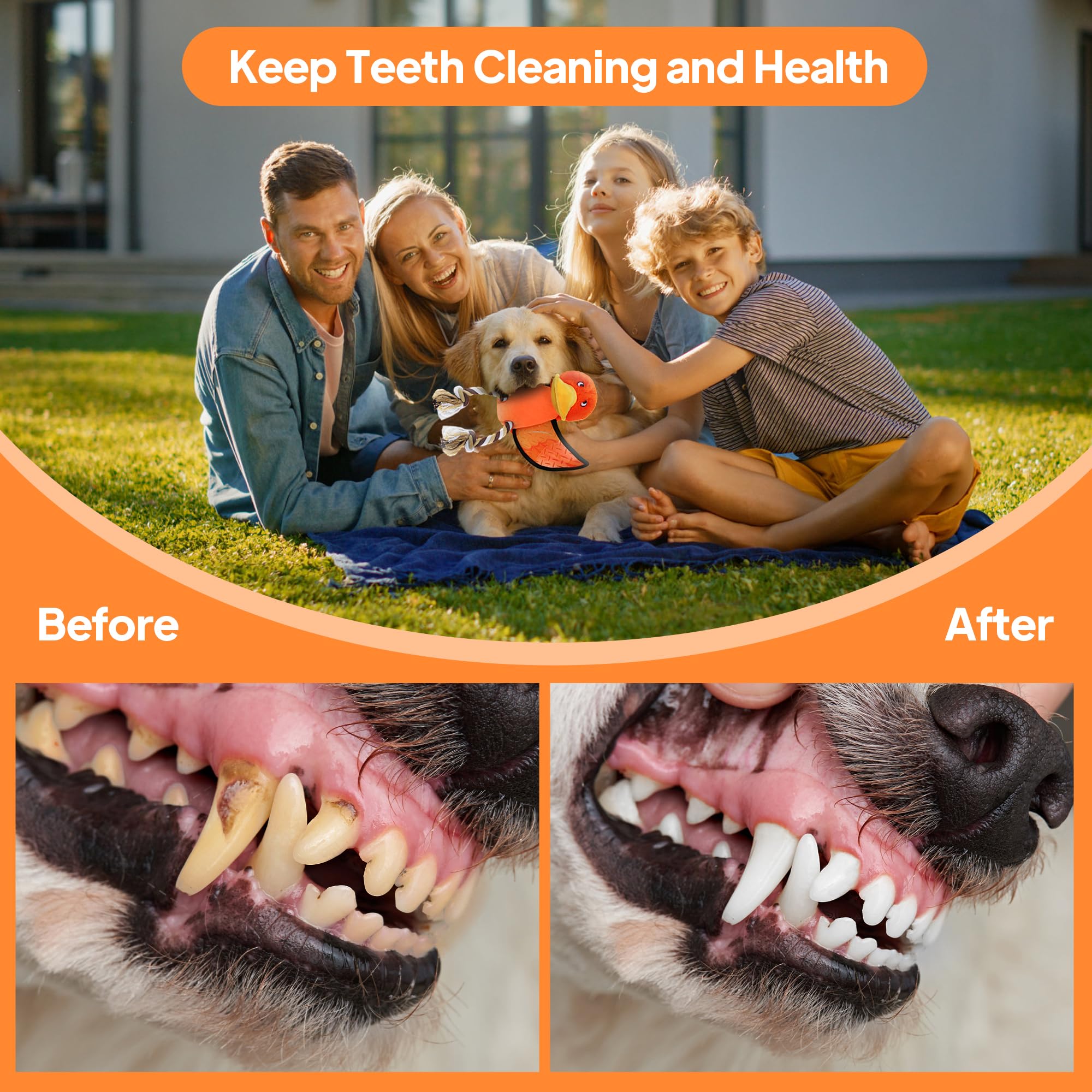 PetiFine Durable Squeaky Dog Toys for Aggressive Chewers - Tough Stuffed Animal Chew Toys for Small, Medium & Large Dogs - Interactive Tug of War Play for Indoor & Outdoor Fun - Keep Your Dog Entertained & Engaged