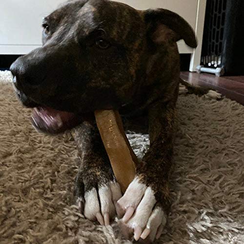 Premium Himalayan Yak Cheese Dog Chews - All-Natural, Long-Lasting Dog Bones for Aggressive Chewers - Healthy Dental Treats for Large Dogs Under 55 lbs - Perfect for Teething Puppies & Strong Chewers - Great for Outdoor Adventures & Crate Training