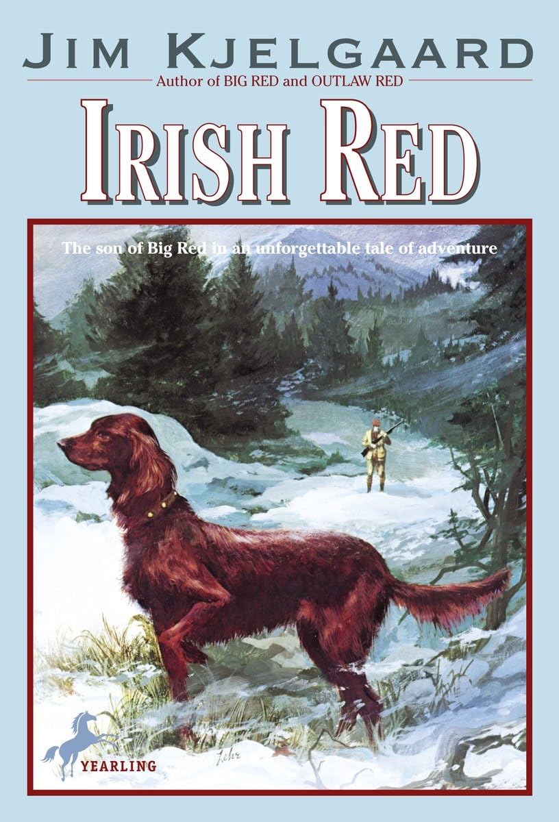 Authentic Irish Red Ale Beer - Premium Craft Brew for St. Patrick's Day, Pubs & Home Celebrations