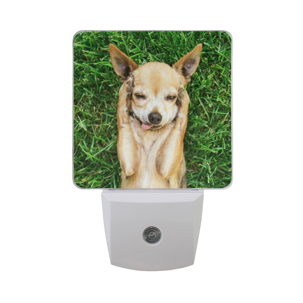 ALAZA 2 Pack Cute Chihuahua Paw Print LED Night Light with Auto Dusk to Dawn Sensor - Plug in Night Light for Bedroom, Nursery, Hallway - Energy Saving Home Decor Desk Lamp for Adults & Kids
