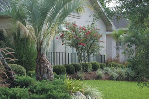 Best Gardening & Landscaping Tools for Central Florida | Outdoor & Lawn Care Essentials | Perfect for Backyard, Patio & Pool Area Maintenance