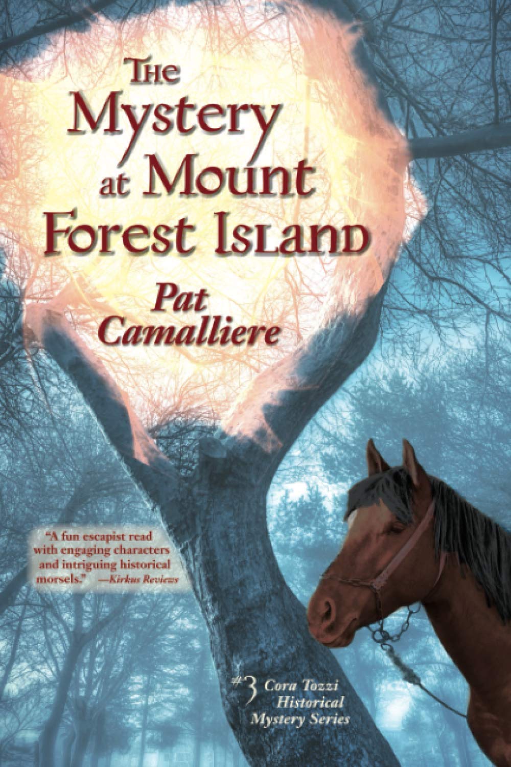 The Mystery at Mount Forest Island - Cora Tozzi Historical Mystery Novel | Adventure, Suspense & Intrigue | Perfect for Book Clubs & Mystery Lovers