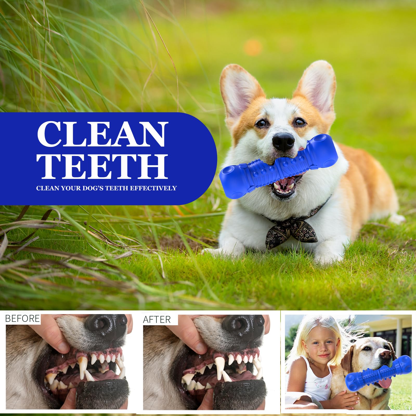Durable Natural Rubber Dog Chew Toys for Aggressive Chewers - Tough Squeaky Toys for Medium Breed Dogs - Perfect for Playtime, Training & Teeth Cleaning