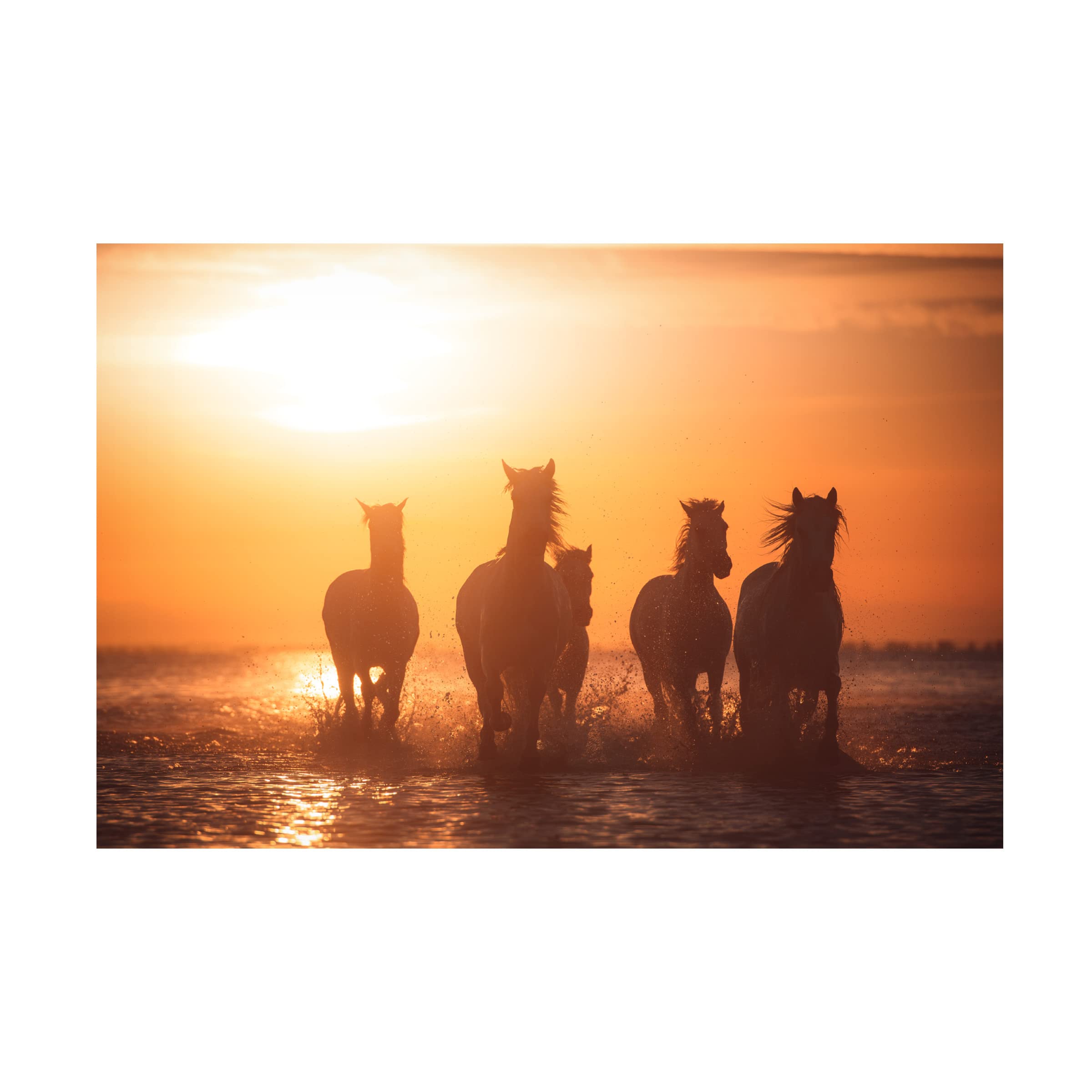 Trademark Fine Art 'Camargue Angels' Canvas Wall Art Print by Rostovskiy Anton - Perfect for Living Room, Bedroom & Office Decor