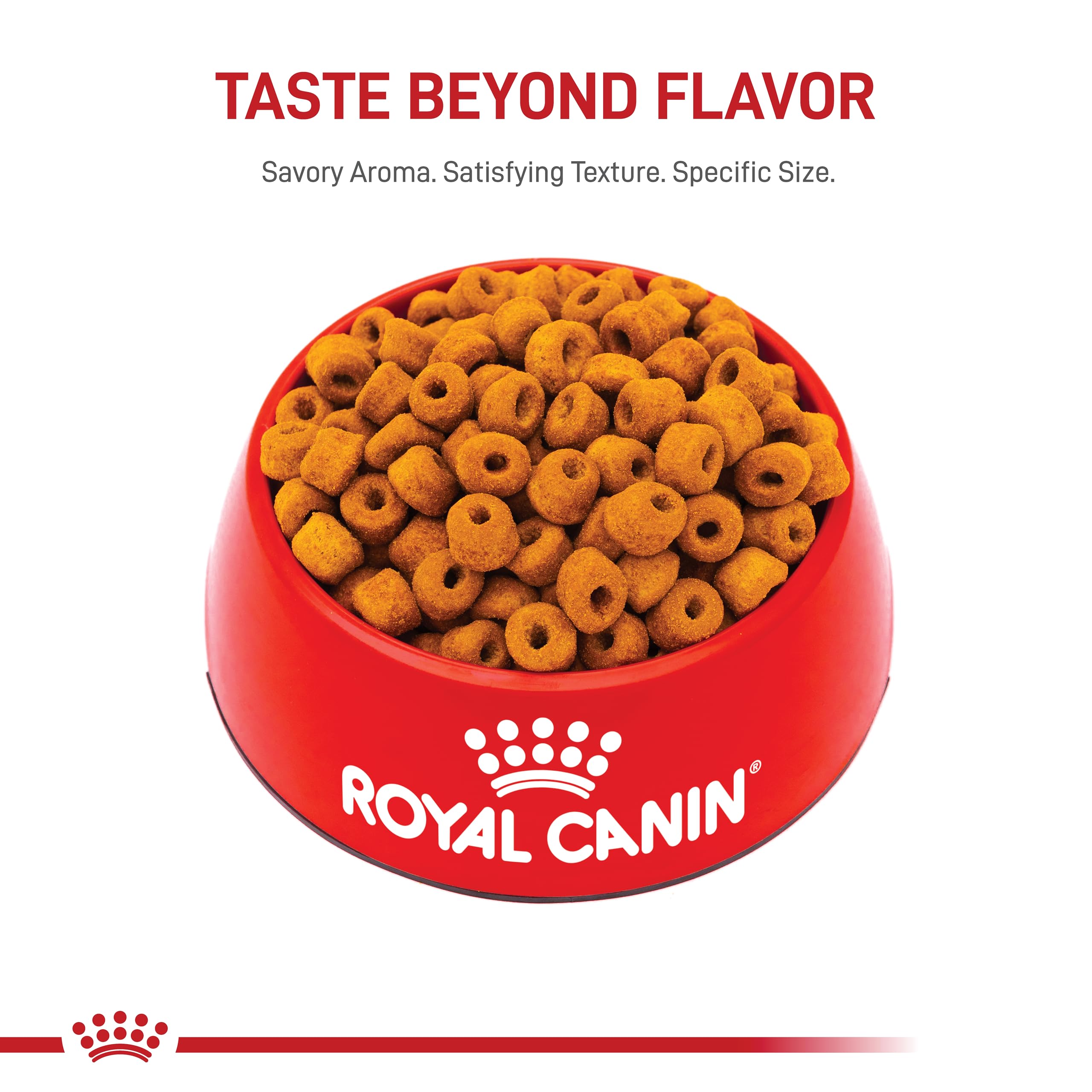 Royal Canin Labrador Retriever Adult Dry Dog Food - 30 lb Bag | Premium Nutrition for Large Breed Dogs | Perfect for Active Labs & Outdoor Adventures