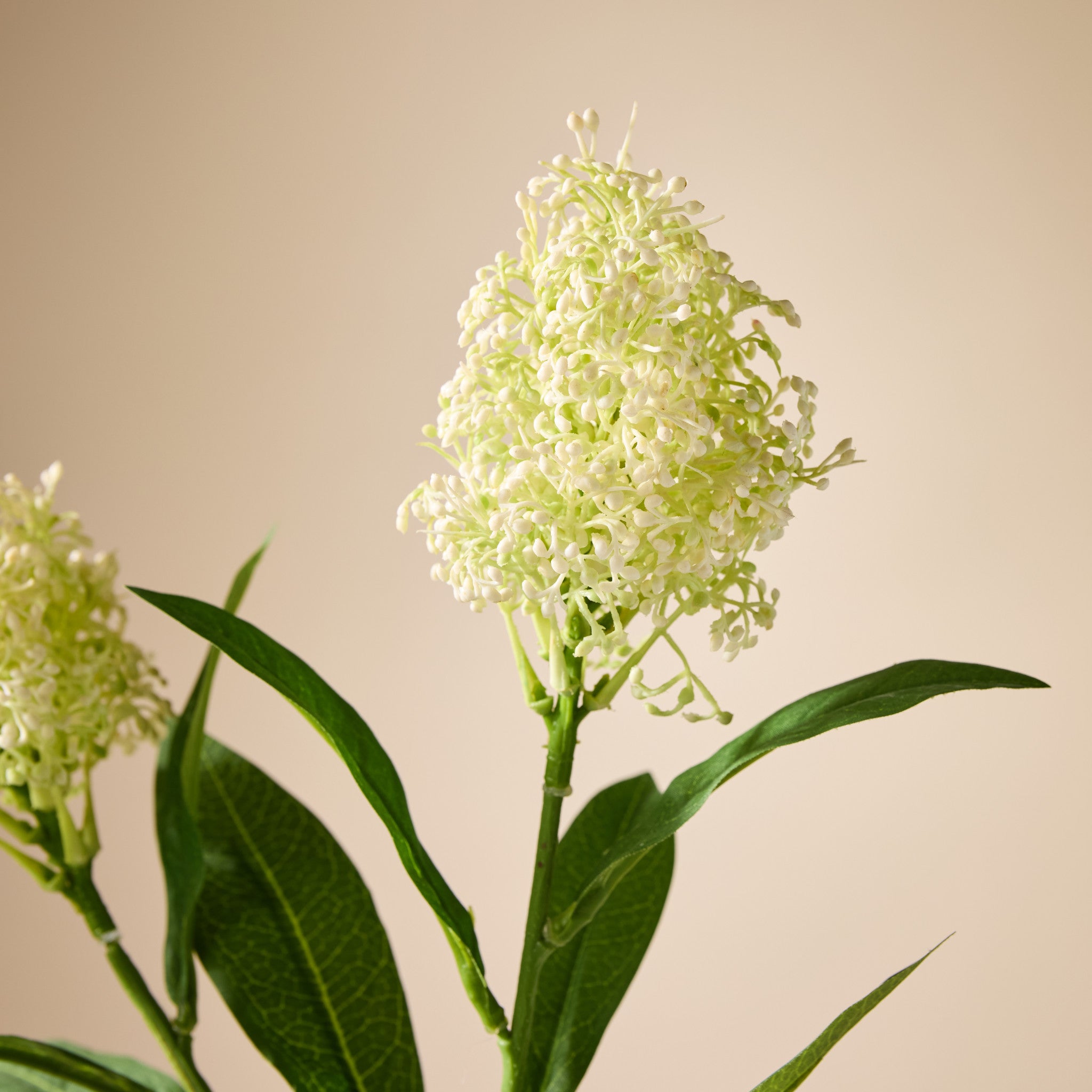 Artificial Skimmia Spray - 60cm Cream Faux Flowers for Home Decor, Wedding Centerpieces, and Floral Arrangements