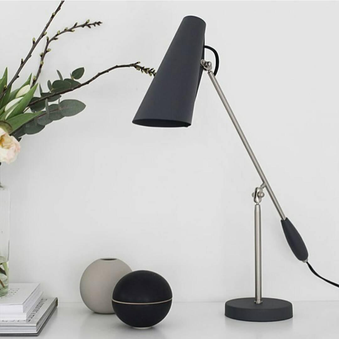 Birdy Table Lamp - Modern LED Desk Light for Home & Office, Adjustable Brightness, Energy Efficient - Perfect for Reading, Studying, and Workspace Lighting