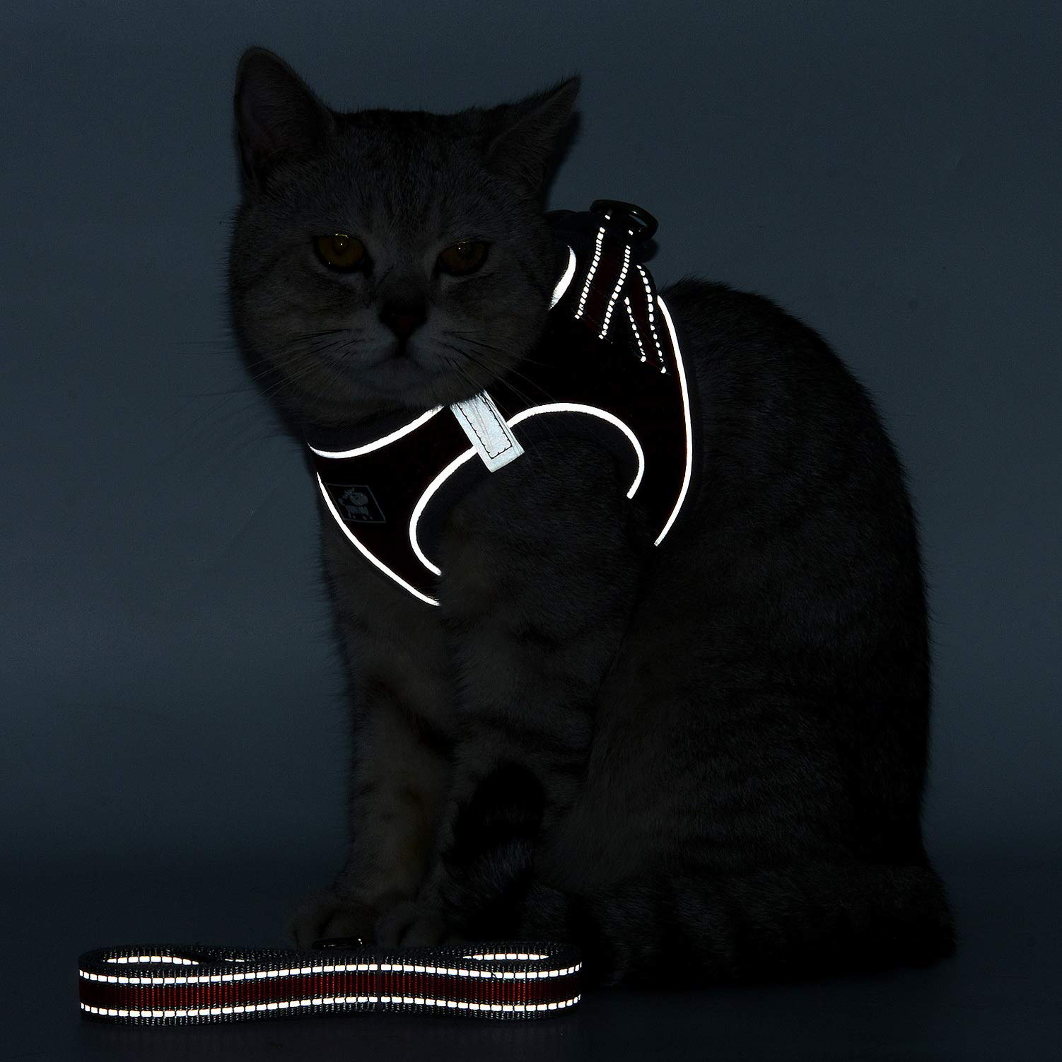 SELMAI Reflective Cat Harness and Leash Set - Escape Proof No Pull Adjustable Soft Mesh Vest for Small Dogs, Medium Cats, Puppies & Chihuahuas - Pet Training Walking Gear with 1.5m Blue Leash - Perfect for Night Walks, Outdoor Adventures & Pet Safety