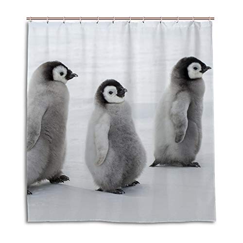 Penguins02