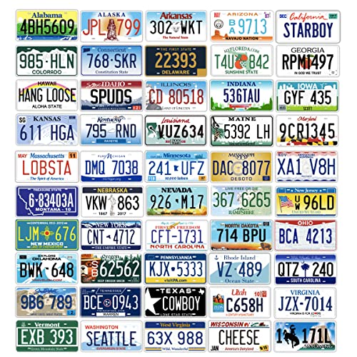 all 50 states