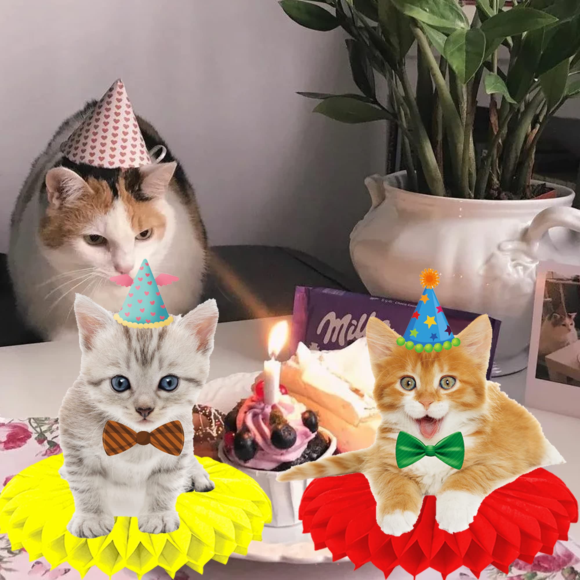 11Pcs Honeycomb Cat-Themed Party Decorations - Pet Birthday Centerpieces for Tables, Baby Shower & Kids Party Supplies | Perfect for Kitten Birthday Parties, Cat Lover Events & Themed Celebrations