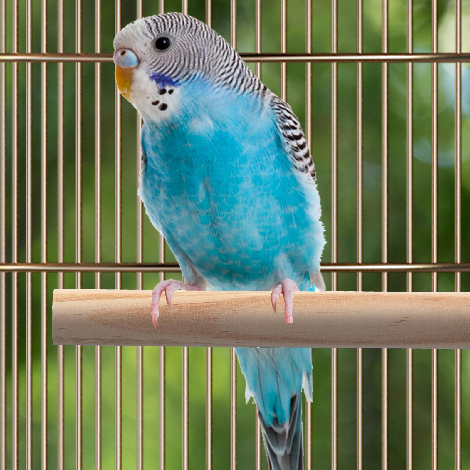 LOGOFUN 4 Pack Natural Wood Bird Perches - Parrot Stand Sticks & Platform for Cage Accessories - Perfect for Climbing, Playing & Resting in Bird Cages