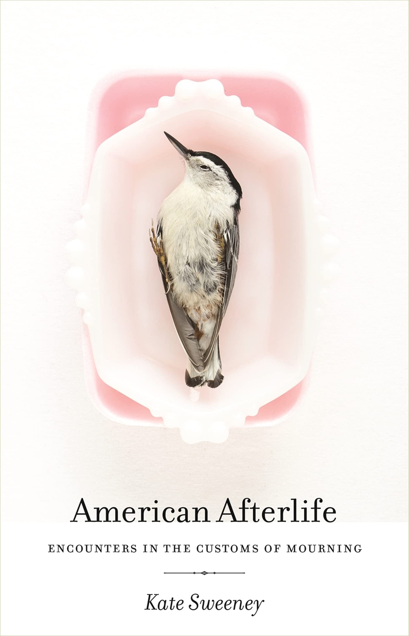 American Afterlife: Exploring Mourning Customs & Traditions - Perfect for Cultural Studies, History Buffs & Funeral Professionals