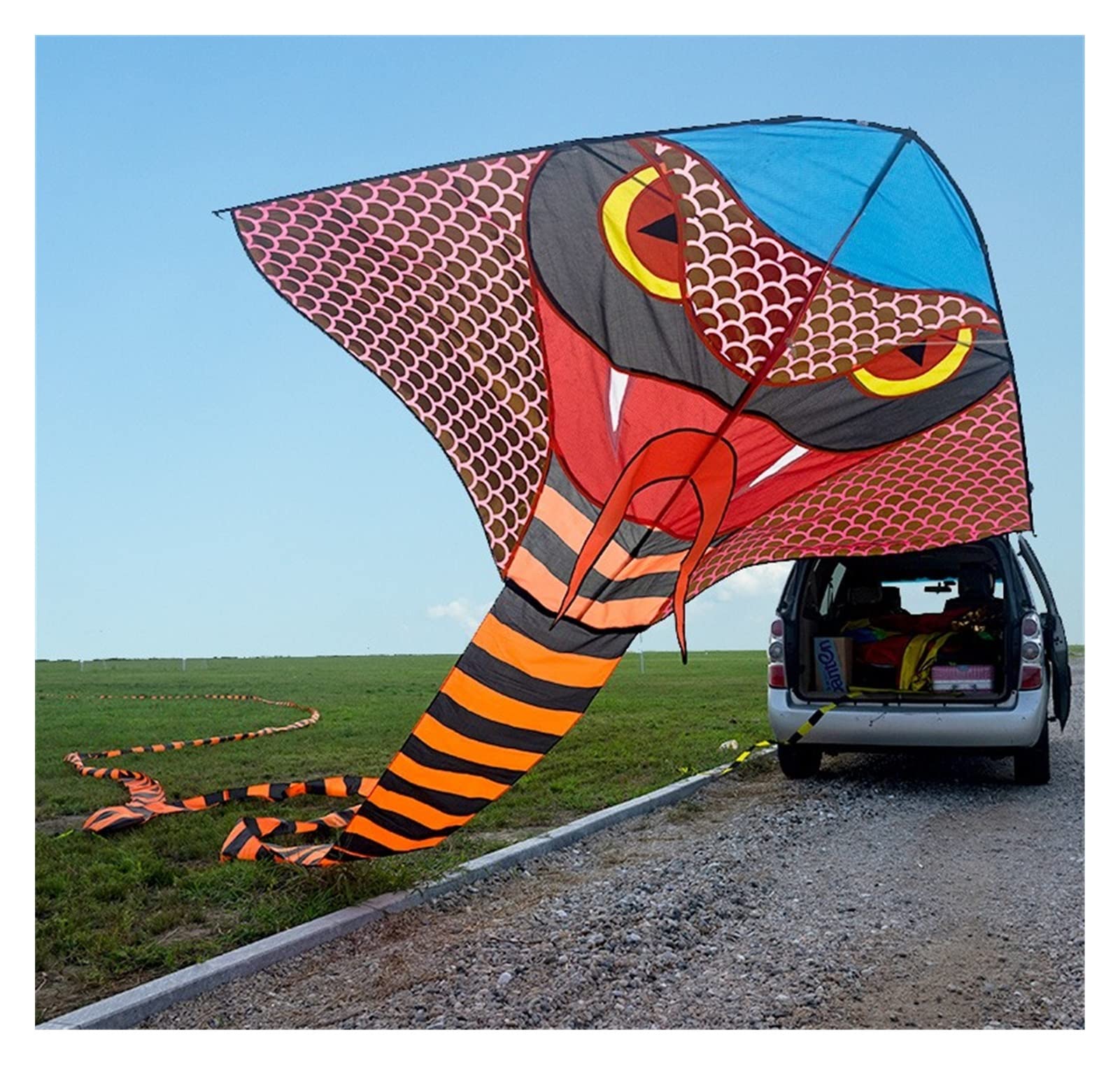 Large 3D Kite for Adults - 40m Colorful Creative Kite for Outdoor Fun, Beach Flying & Park Activities