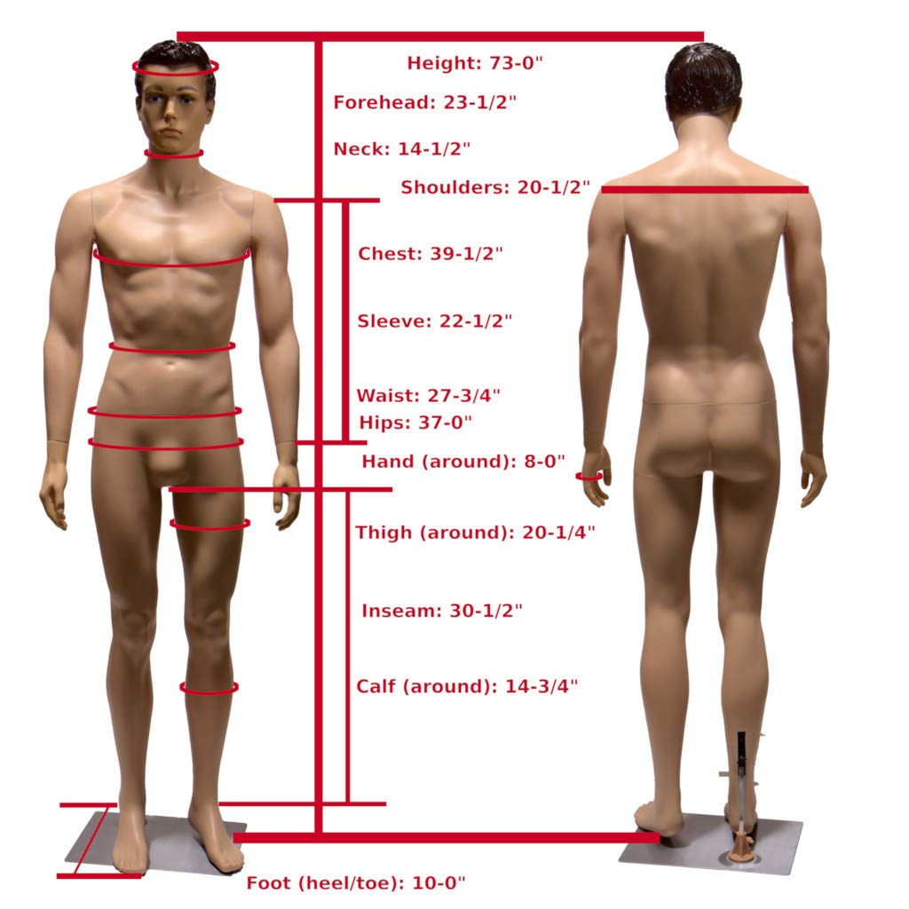 Realistic Standing Male Adult Mannequin with Base (YM8-1F) - Perfect for Retail Stores, Fashion Displays & Photography Studios