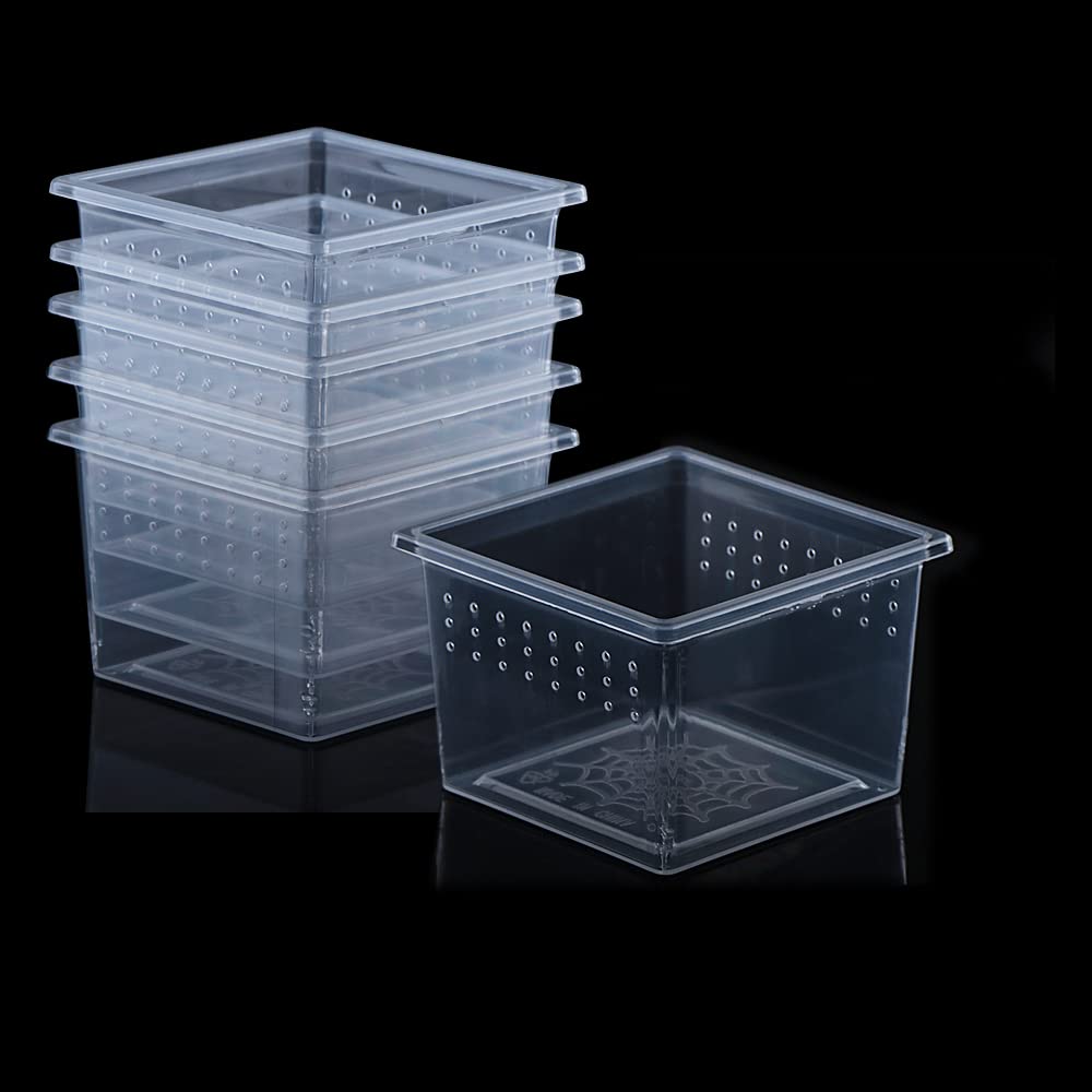 10 Pcs Clear Acrylic Insect Spider Terrarium - Small Reptile Scorpion Centipede Breeding Box for Hatching & Observation | Perfect for Pet Enclosures, Science Projects & Home Decor