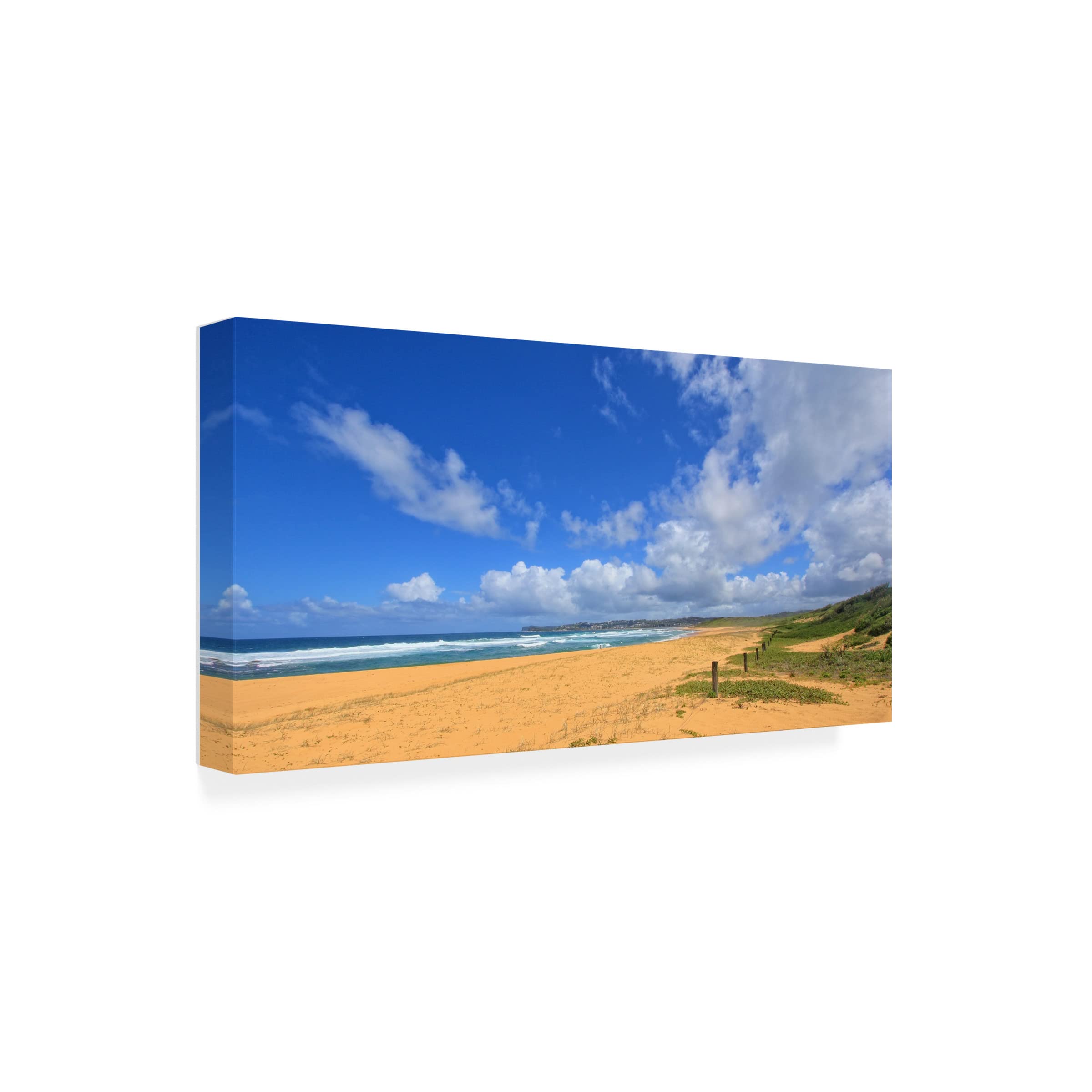 Trademark Fine Art 'Wamberal Beach' Canvas Wall Art Print by Beata Czyzowska Young - Coastal Home Decor for Living Room, Bedroom & Office